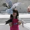 sha__ai2