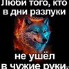 user80162481182731
