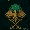 alaa.yousaf4