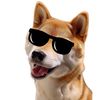 furhiretv