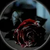 fa___ali2