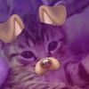 .littlep1nk