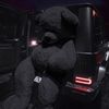 kodabear2597
