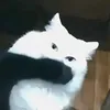 lilipinpin0