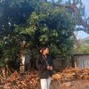 susmita.magar014