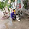 monywa440