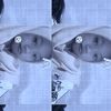 salwa_3362