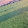 ibra55833