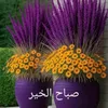 user54154244229996
