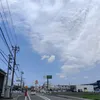 user20231482959460