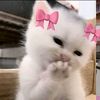 sumaya.suusuu23
