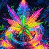user3020922223292