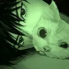 hashirake