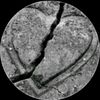 mohamed.antar899