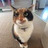 sheryl.mortenson605