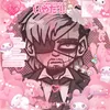 normalendharveysn1fan