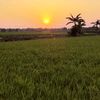 sya_putra2570