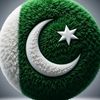 m.anas.bhatti2