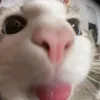mavi_babi