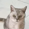 jhony.khan60