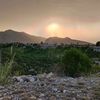 rahmatorakzai18