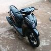 willstars03