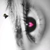 putrire_2