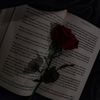 chahed.chahed627