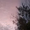 rcad_13