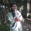 .kotha.koli.6