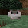 user1114638085467