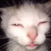 kzy_412
