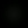 p1_plg