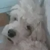anexe.bj