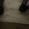 anjsn8