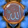 user9908618343475