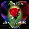 anhsthow333