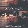 alishafaqat91