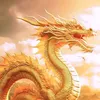 dng.ch590