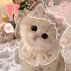 chin_luan