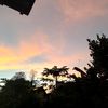 clevo_31