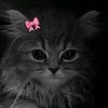mushtiyeyy42