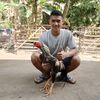 sandro.fram4
