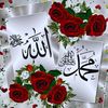 shareefshareef8437