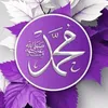 mohamed.alabassie