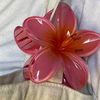 user6305196517513