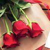 amirhamzakhan3822