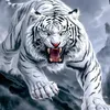tiger.siberias9x