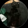 m.zedm3