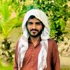 .free.palastine6